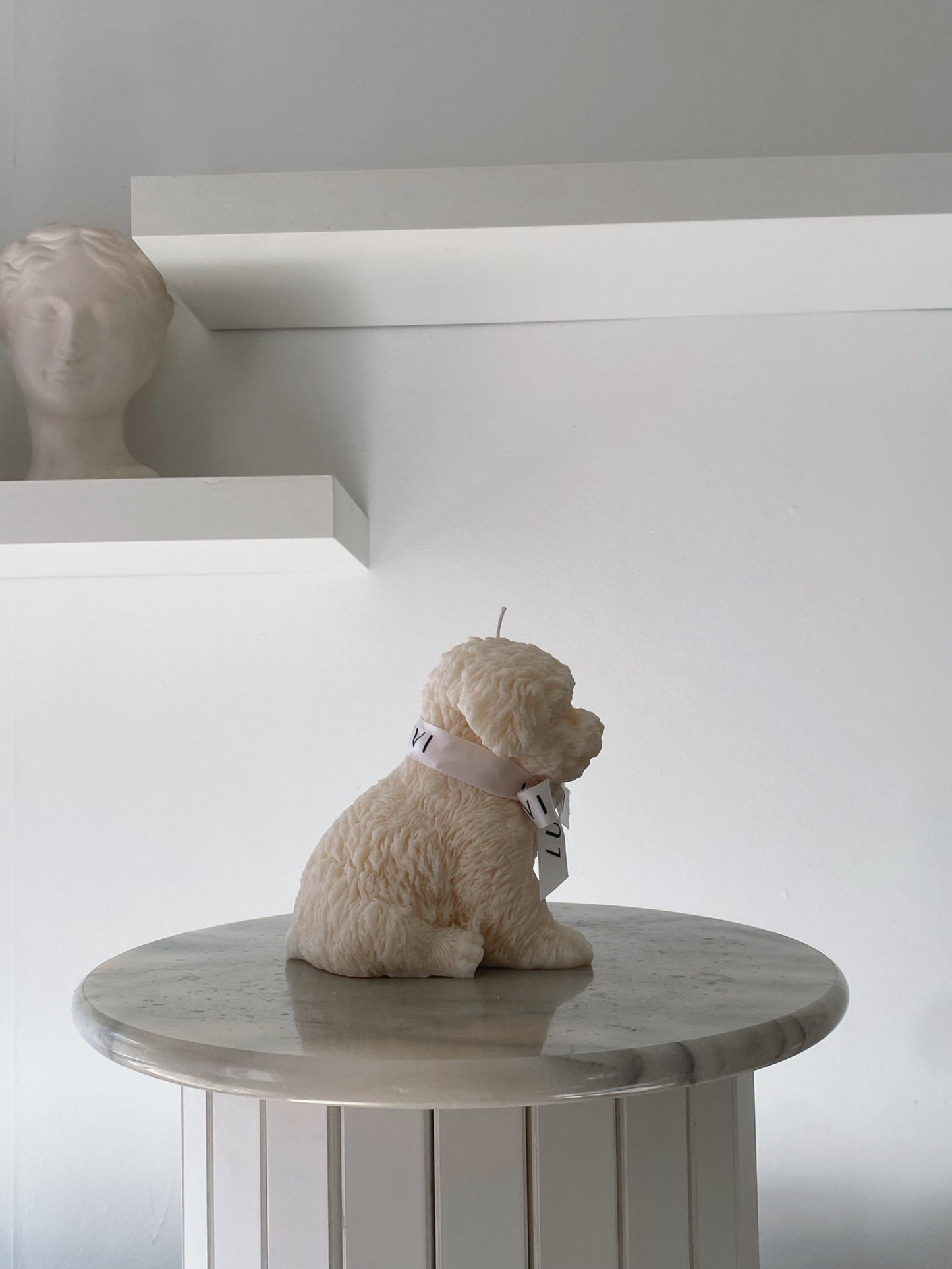 CAVOODLE svece