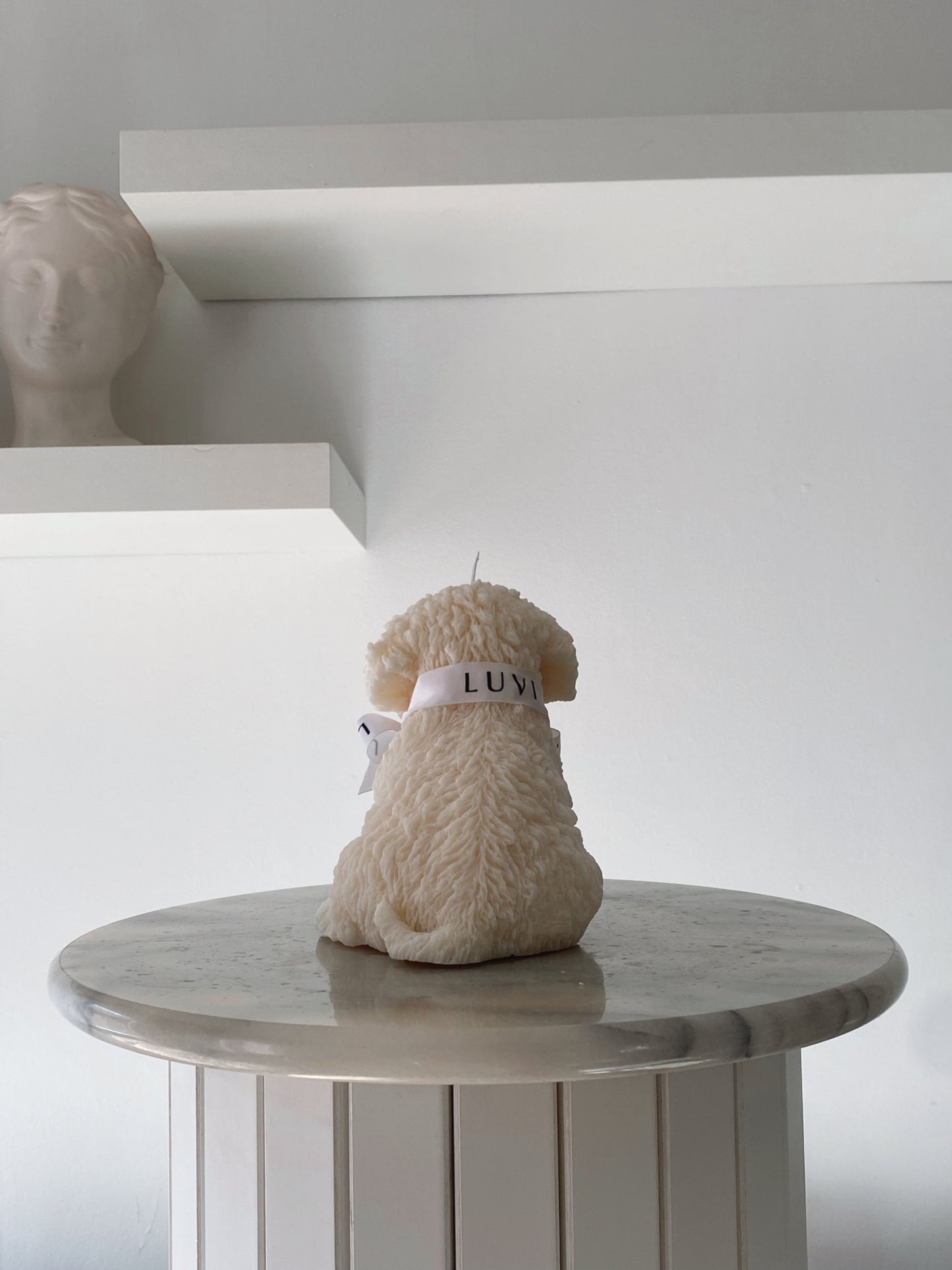 CAVOODLE svece