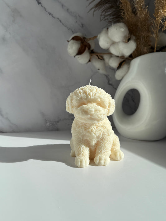 CAVOODLE svece