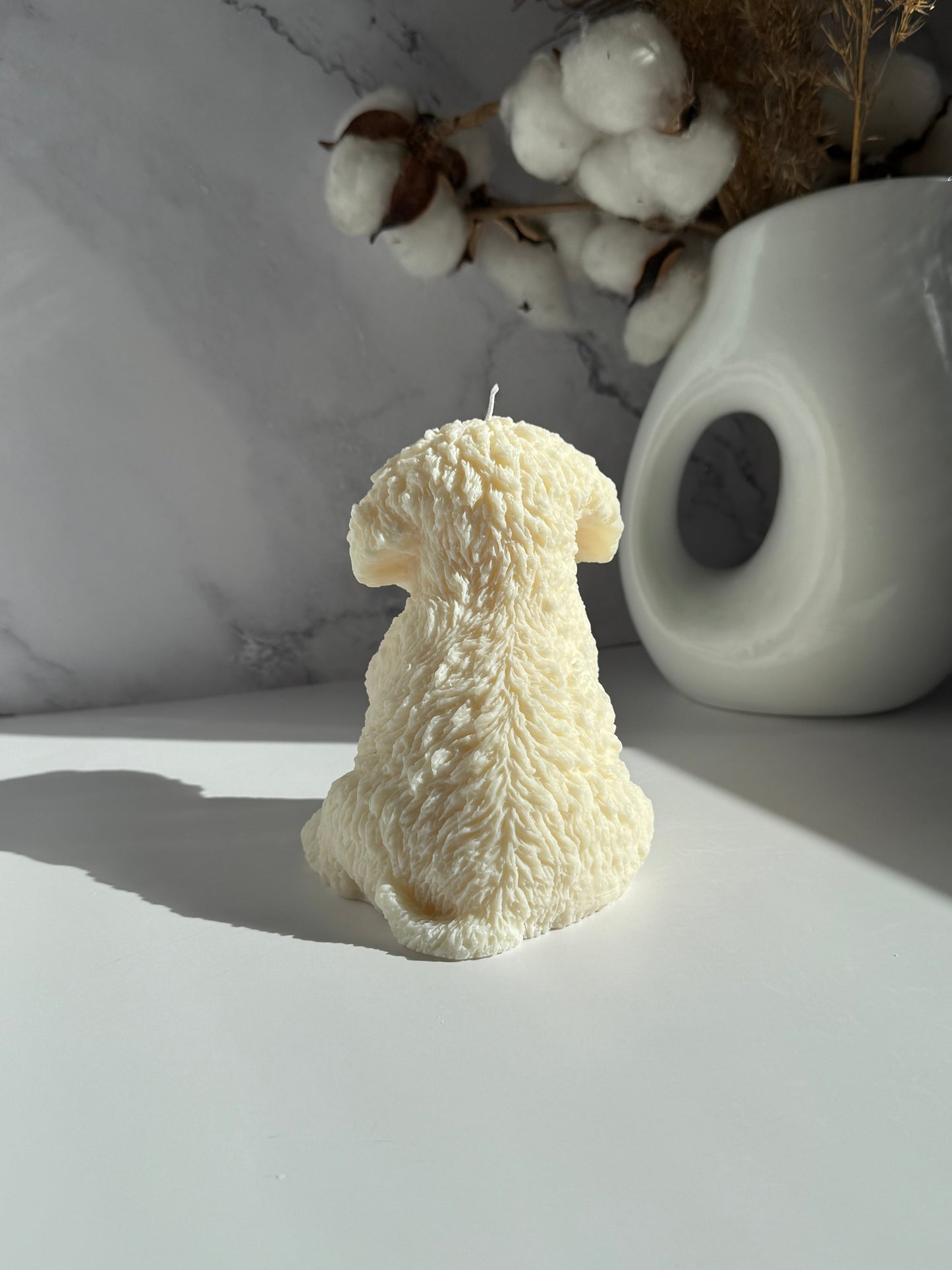 CAVOODLE svece